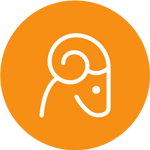 Orange-Icon-Ram.png